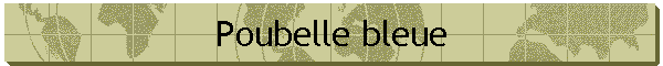 Poubelle bleue